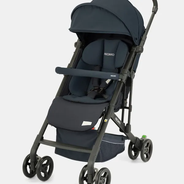 Recaro Easylife Elite 2 Buggy Prime Mat Black in Ausführung 1 – Ansicht 1